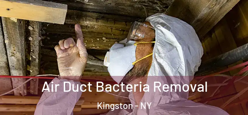  Air Duct Bacteria Removal Kingston - NY