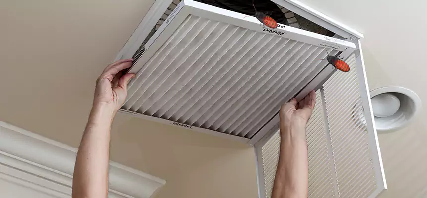 Preventive Cockroach-Proofing for Ducts in Kingston