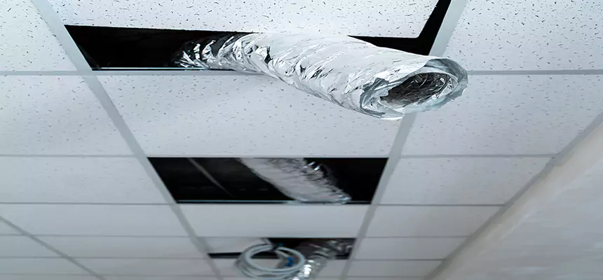 Affordable HVAC Sanitizing After Pest Removal in Kingston