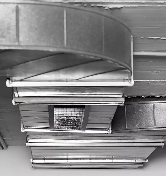 Professional Air Duct Pest Removal in Kingston, NY