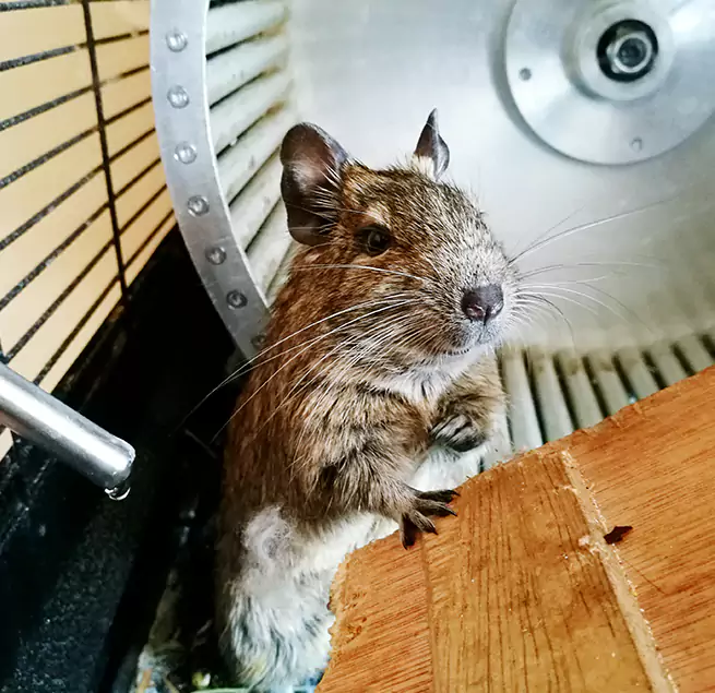 Why Homeowners & Businesses Trust Us Kingston, NY