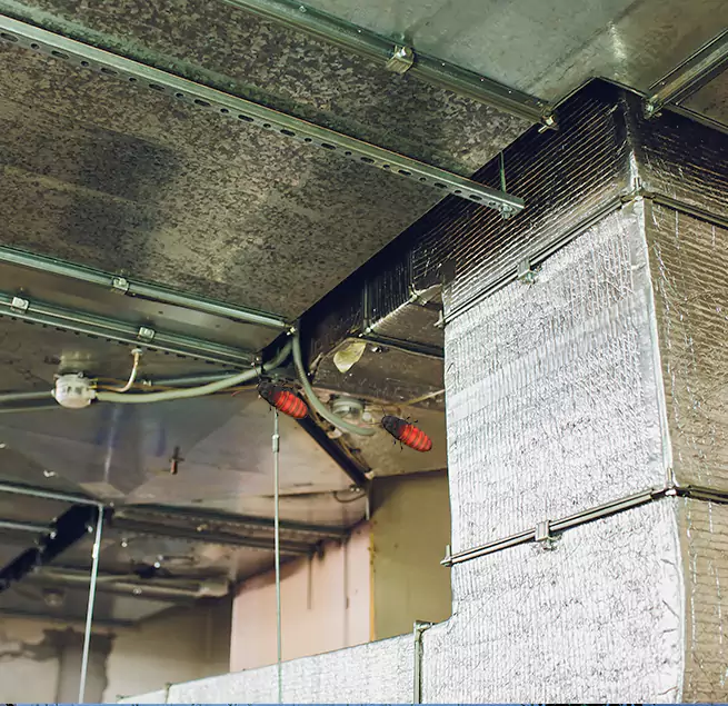 Why Homeowners & Businesses Trust Us Kingston, NY?